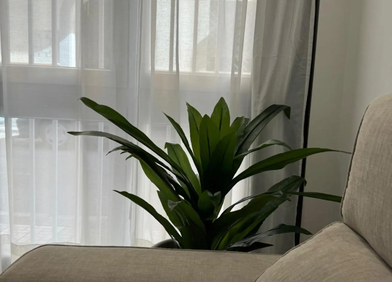 Alderete Suites Malaga 0*,
